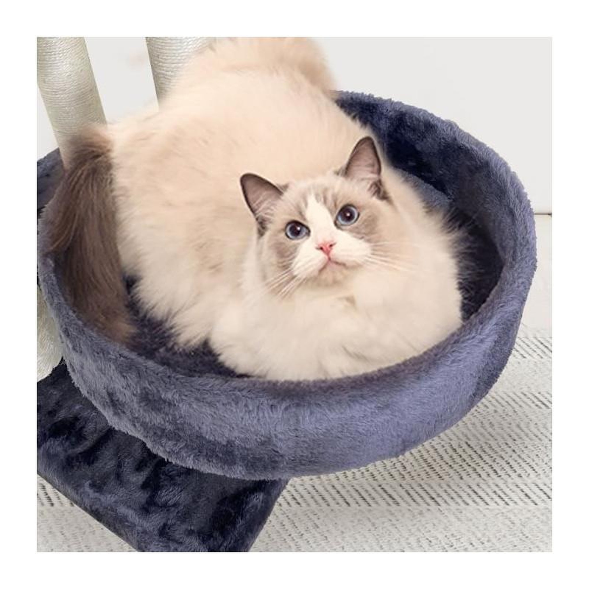 Voir la diapositive 5 : GENERIQUE Arbre a chat GARFIELD - 55x40x116 cm Gris