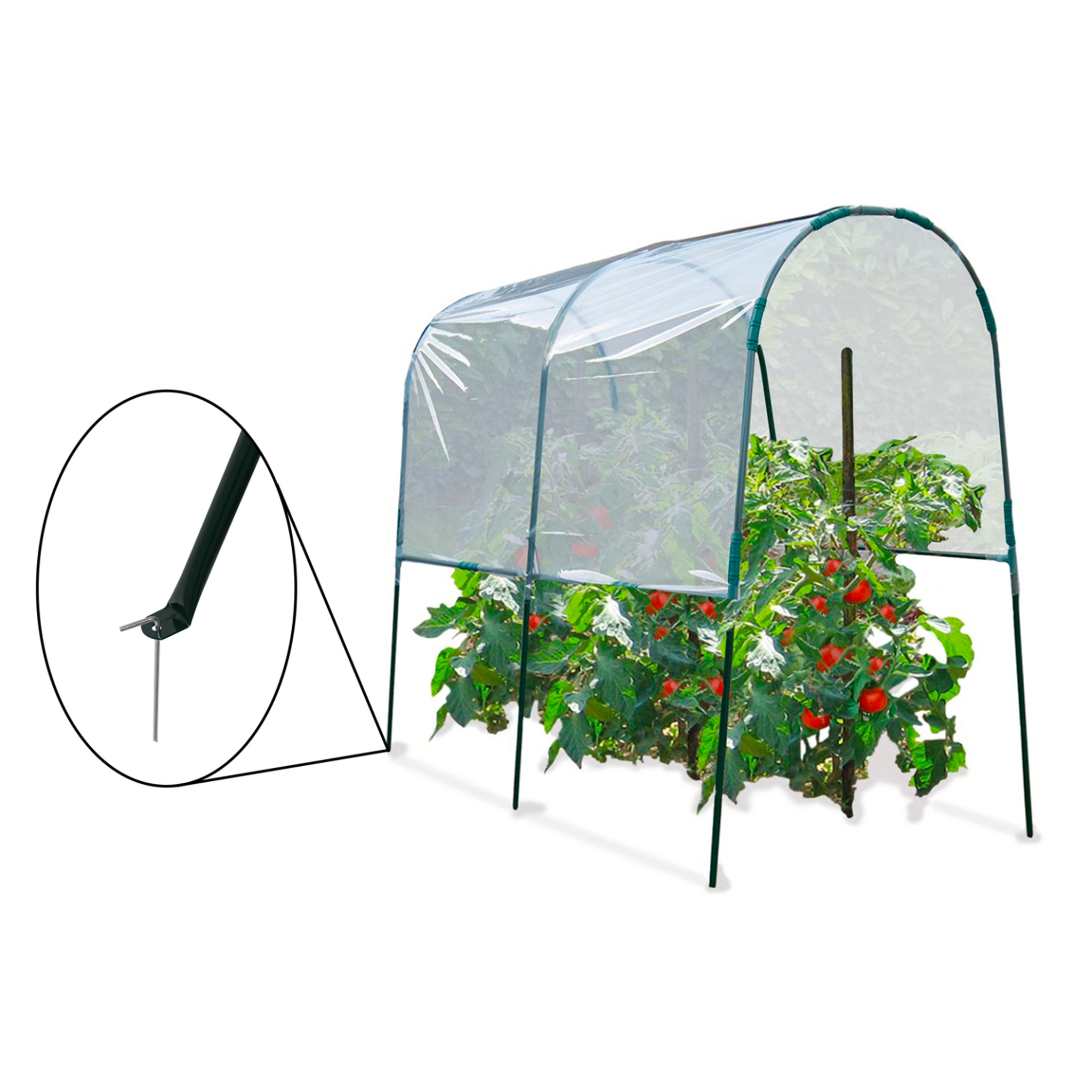 Voir la diapositive 4 : ID MARKET Serre à tomates de jardin 200 x 120 x 170 cm avec bâche transparente + arceaux en acier