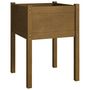 Voir la diapositive 2 : VIDAXL Jardiniere d'exterieur Marron miel 50x50x70 cm Pin massif