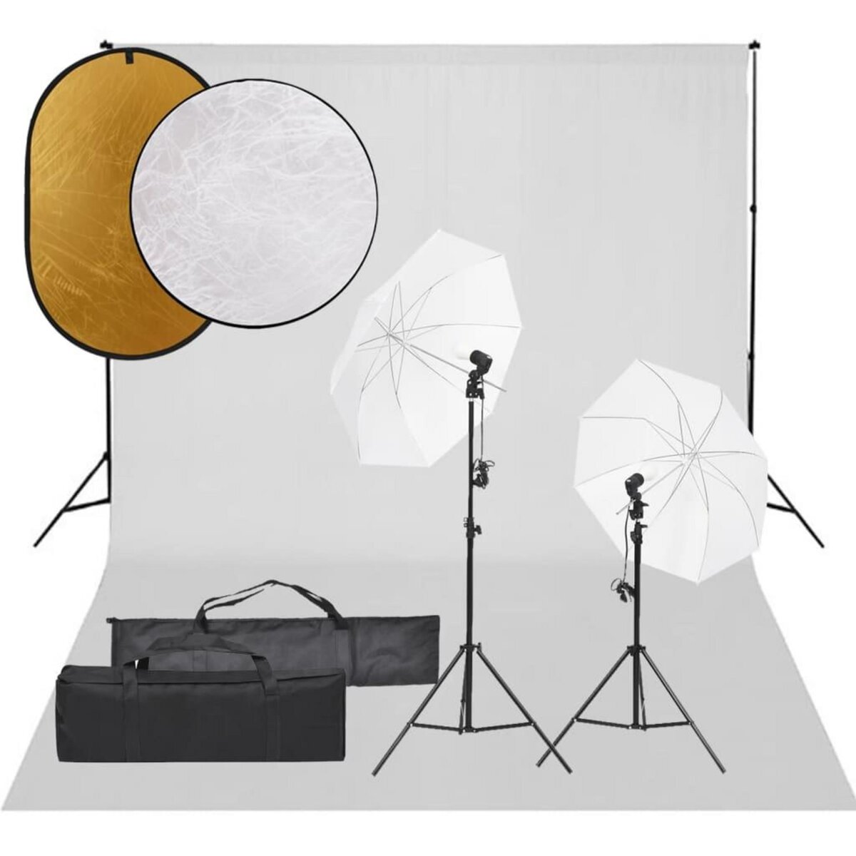 VIDAXL Kit de studio photo avec eclairage toile de fond et reflecteur