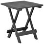 Voir la diapositive 1 : VIDAXL Table pliable de jardin anthracite 45x43x50 cm plastique