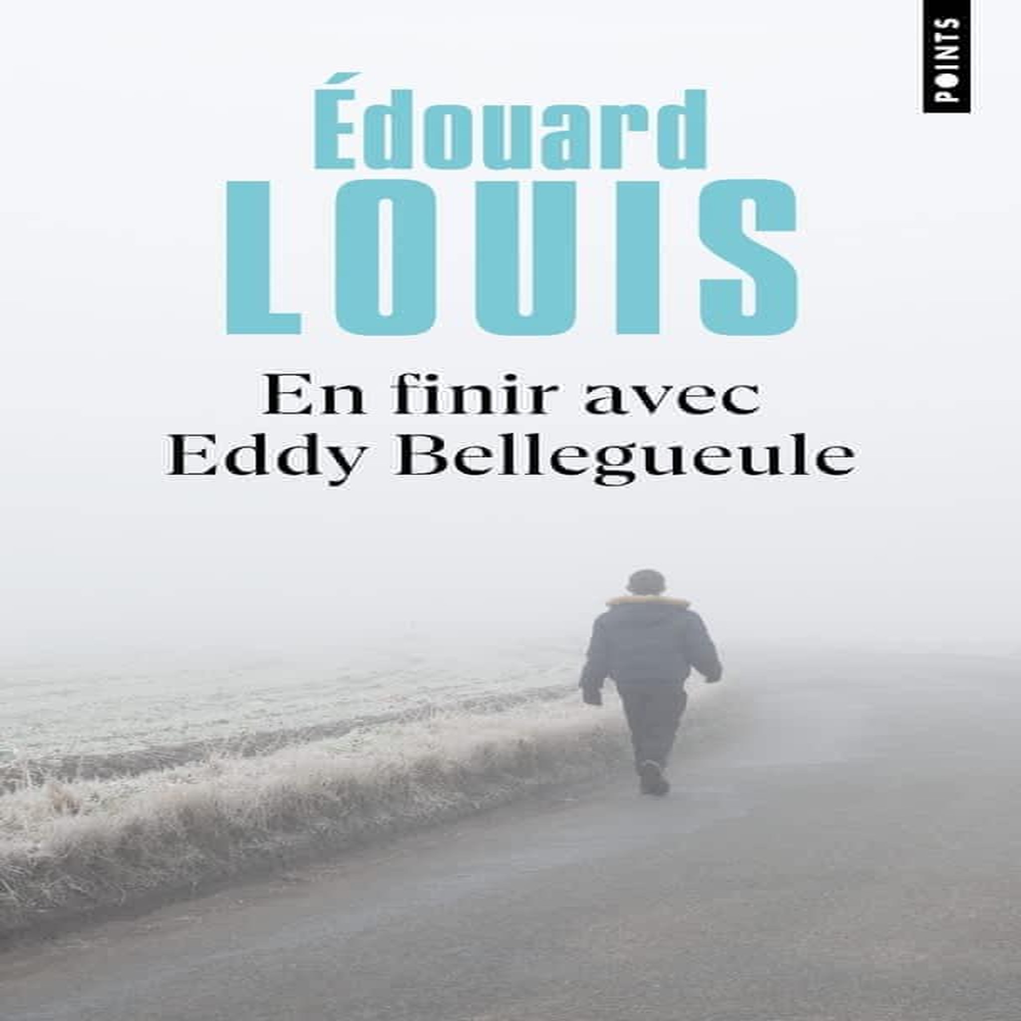 EN FINIR AVEC EDDY BELLEGUEULE, Louis Edouard