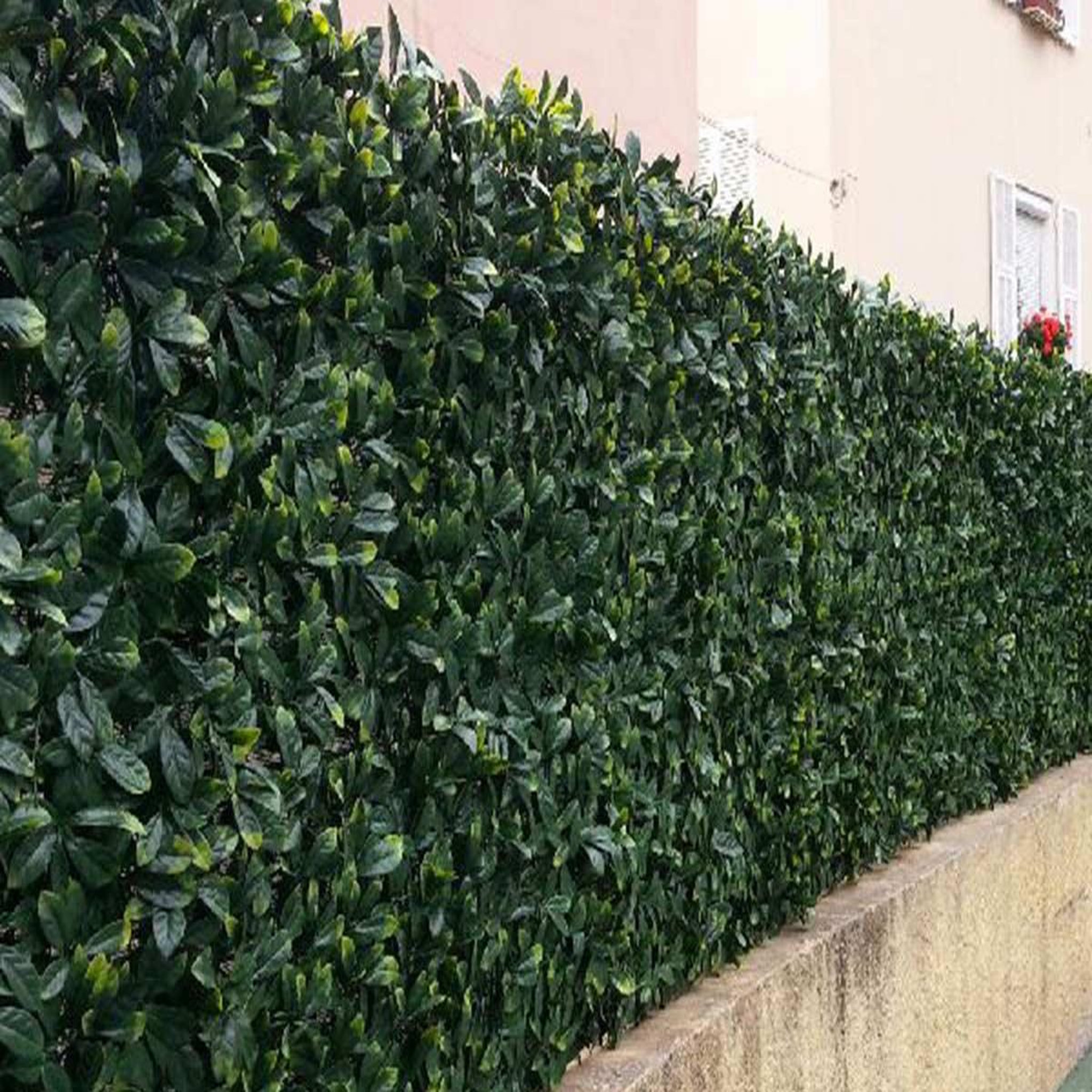 Voir la diapositive 3 : JARDIDECO Feuillage artificiel imitation laurier cerise 1 m² - jardideco