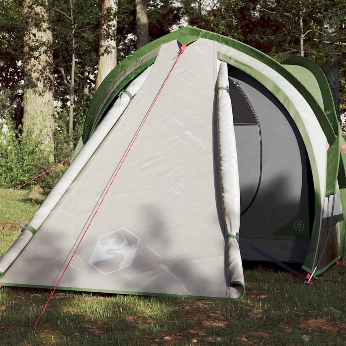 VIDAXL Tente de camping a dome 2 personne vert impermeable