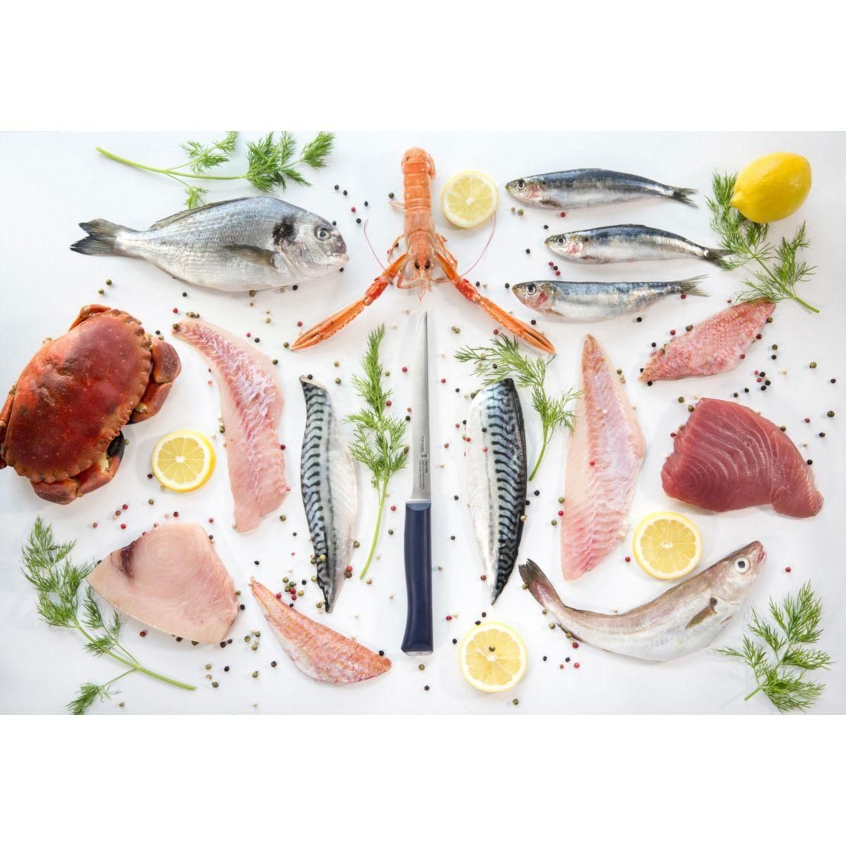 Opinel Couteau Intempora No221