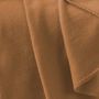 Voir la diapositive 2 : Paris Prix Plaid Polaire  Milou  125x150cm Camel