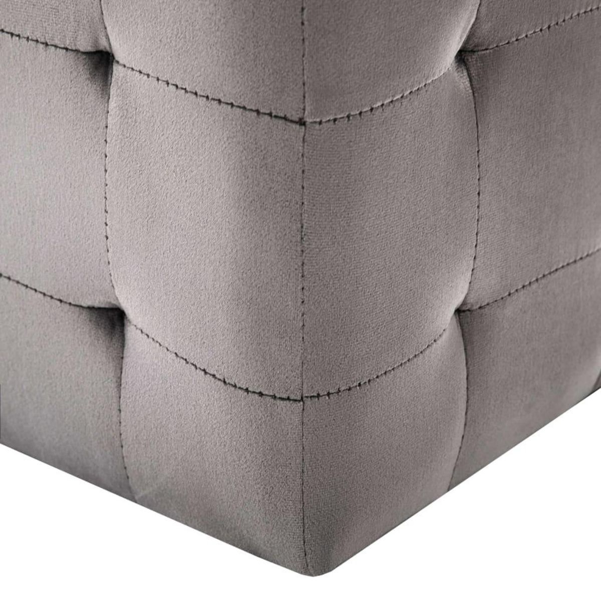 VIDAXL 2 pcs Poufs Gris 30 x 30 x 30 cm Tissu velours