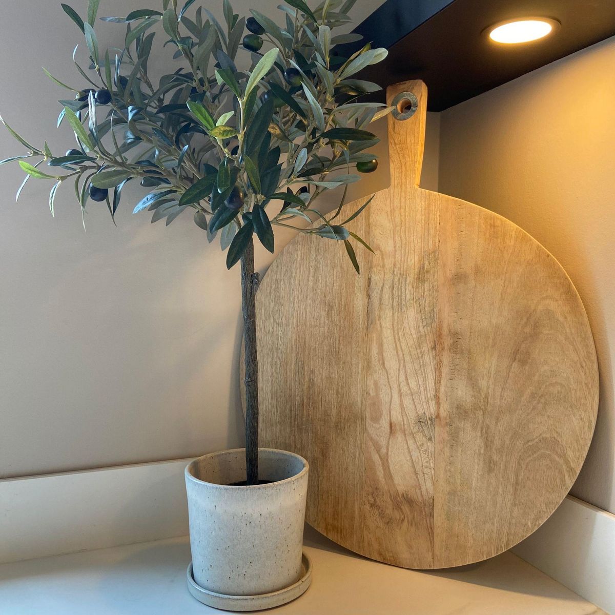 PLANT IN A BOX Olivier artificiel - Hauteur 65cm