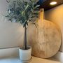 Voir la diapositive 5 : PLANT IN A BOX Olivier artificiel - Hauteur 65cm