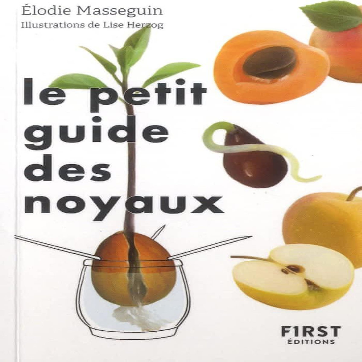 LE PETIT GUIDE DES NOYAUX. 30 NOYAUX ET PEPINS A FAIRE GERMER !, Masseguin Elodie