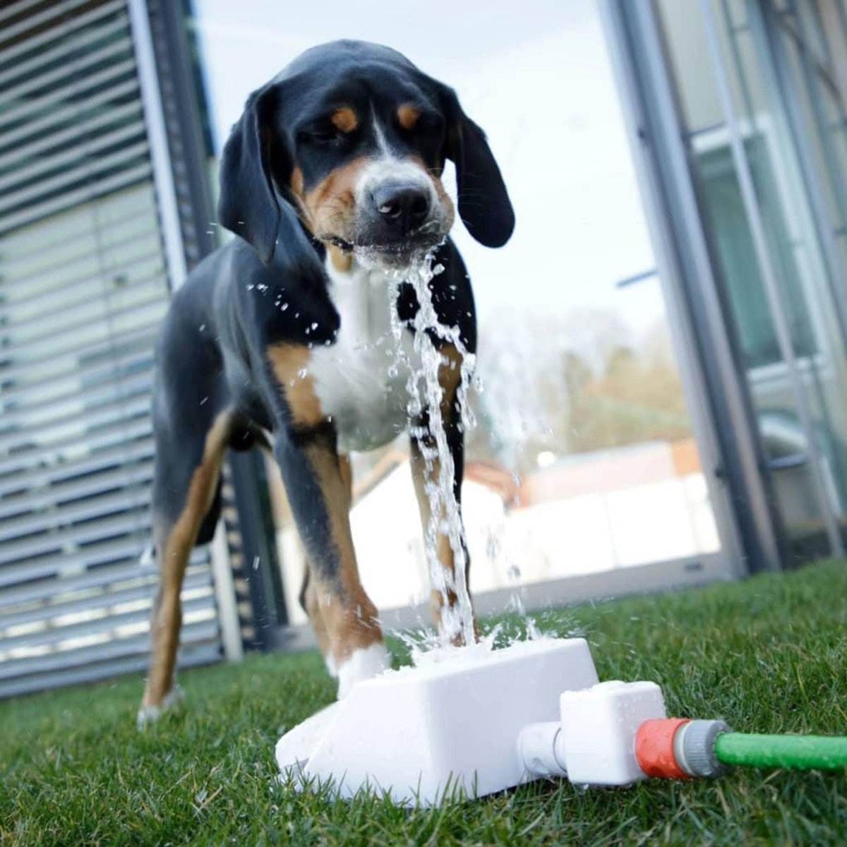 KERBL Kerbl Fontaine d'eau Bubble 25,5x18x8 cm Blanc et bleu