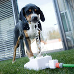 KERBL Kerbl Fontaine d'eau Bubble 25,5x18x8 cm Blanc et bleu