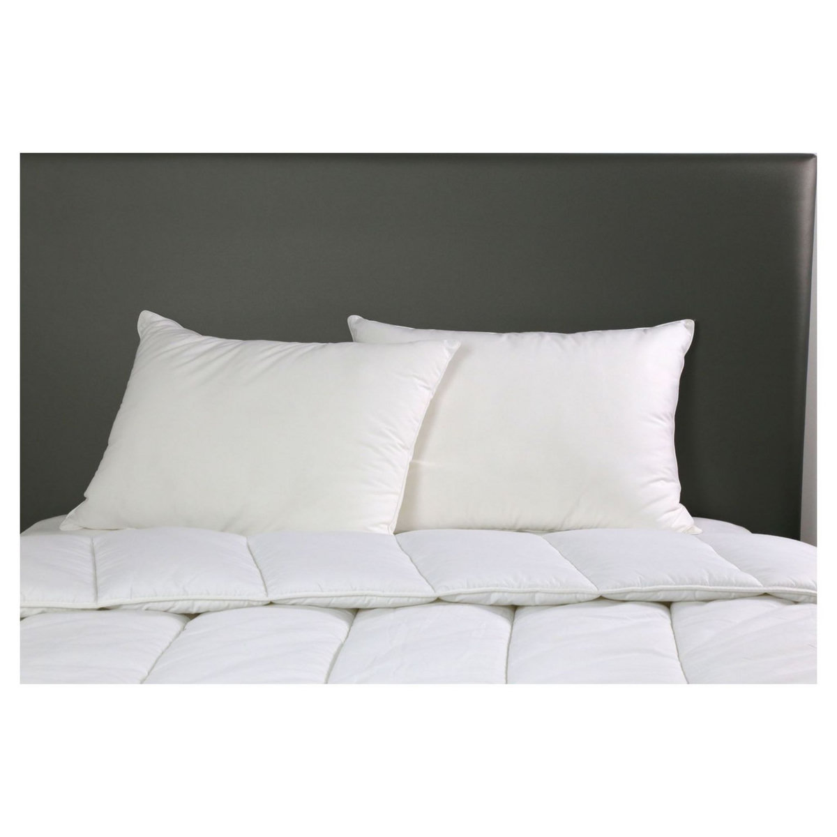 DODO Lot de 2 oreillers moelleux en microfibre LOVELY