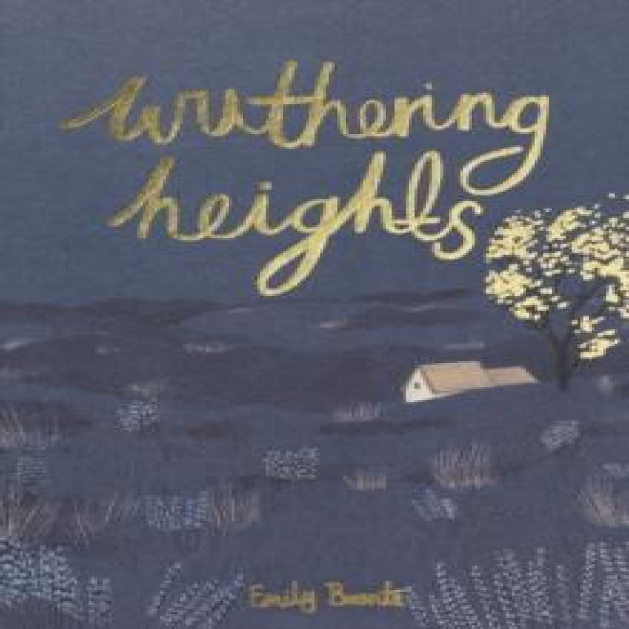 LIVRES Wuthering Heights - Emily Bronte