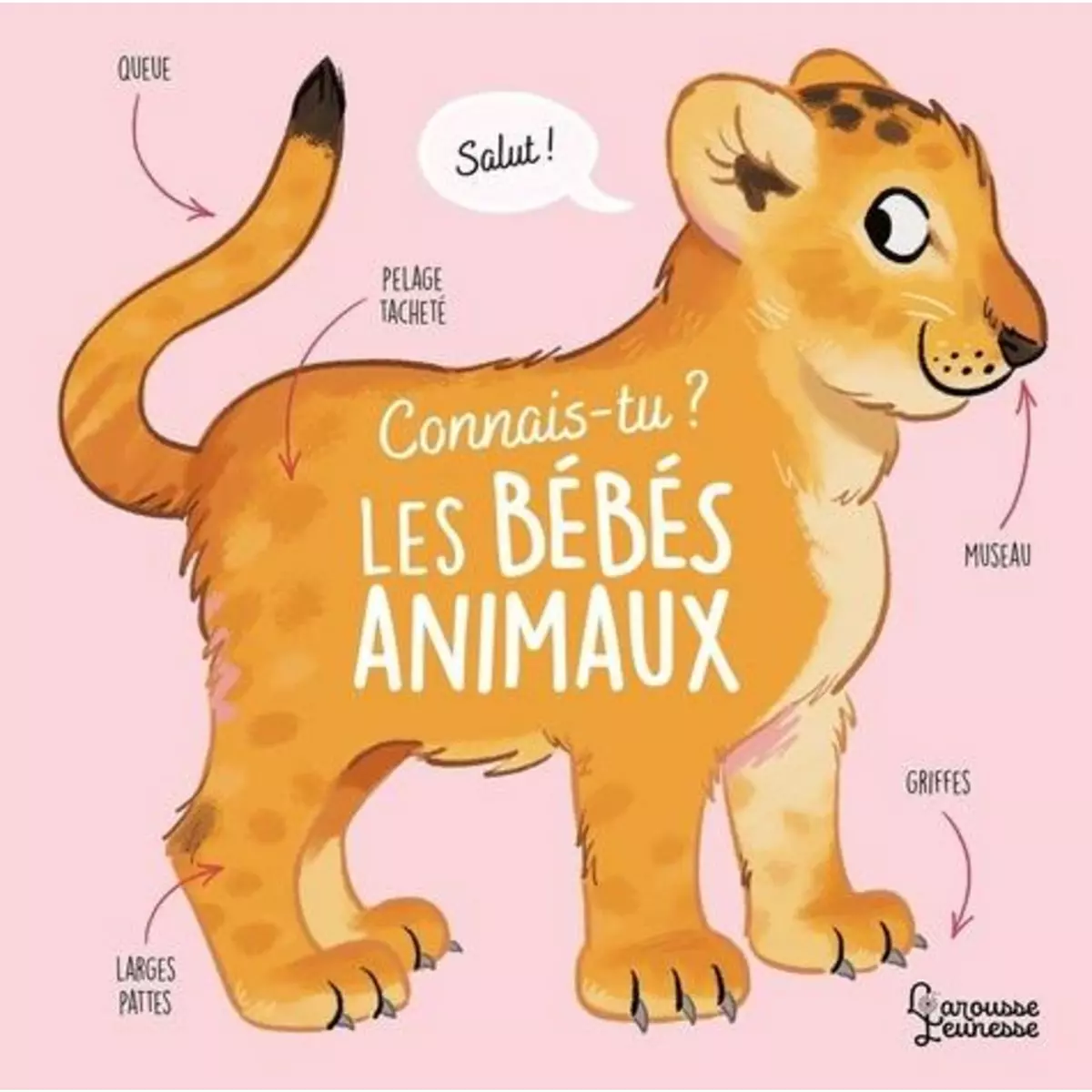  CONNAIS-TU LES BEBES ANIMAUX ?, Le Gall Olivier