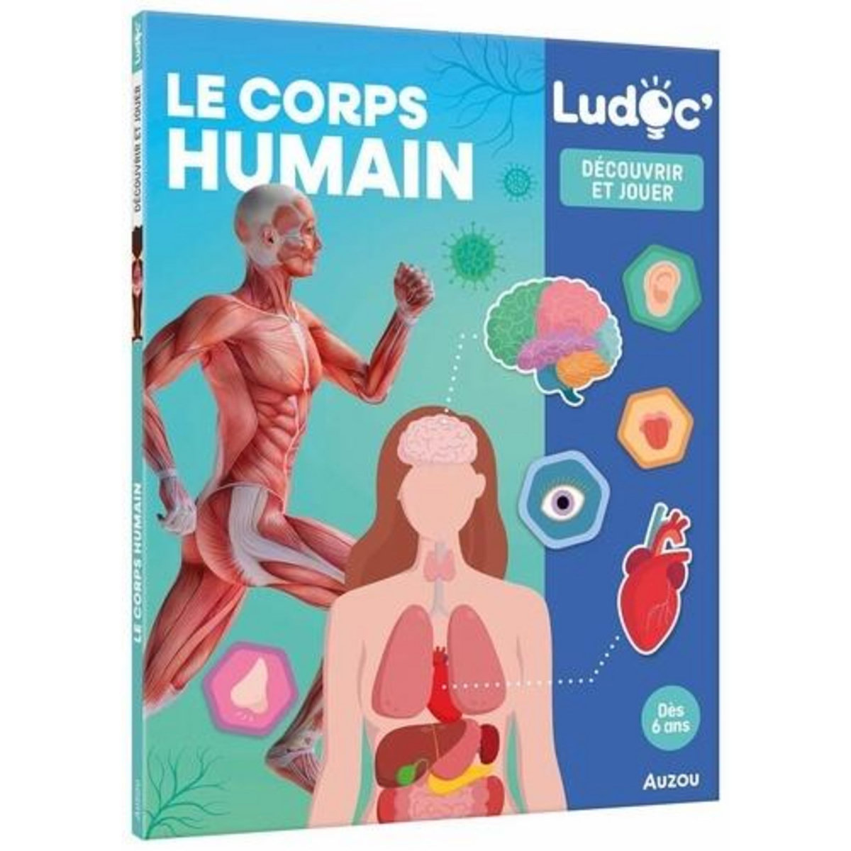 LE CORPS HUMAIN, Pedrola Adèle