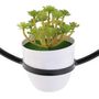 Voir la diapositive 3 : The Home Deco Factory Suspension LED décorative avec plante Garden - H. 35 cm - Noir