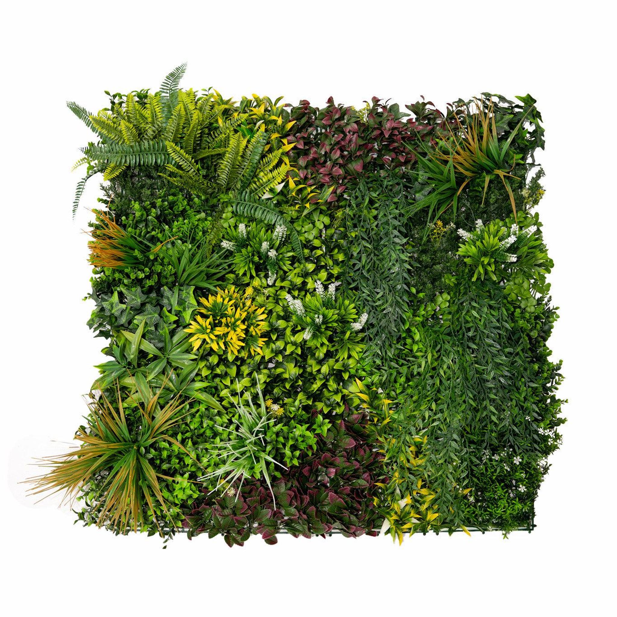 Voir la diapositive 4 : MONSTERSHOP 3 panneaux muraux végétal artificiel 100 x 100 cm l cassia