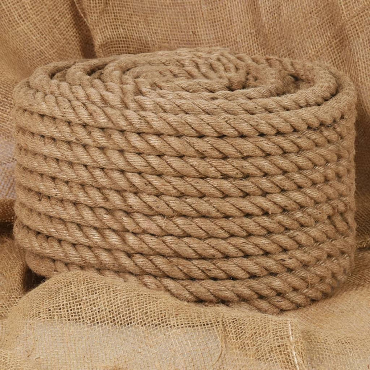 VIDAXL Corde de jute 100 m de long 16 mm d'epaisseur
