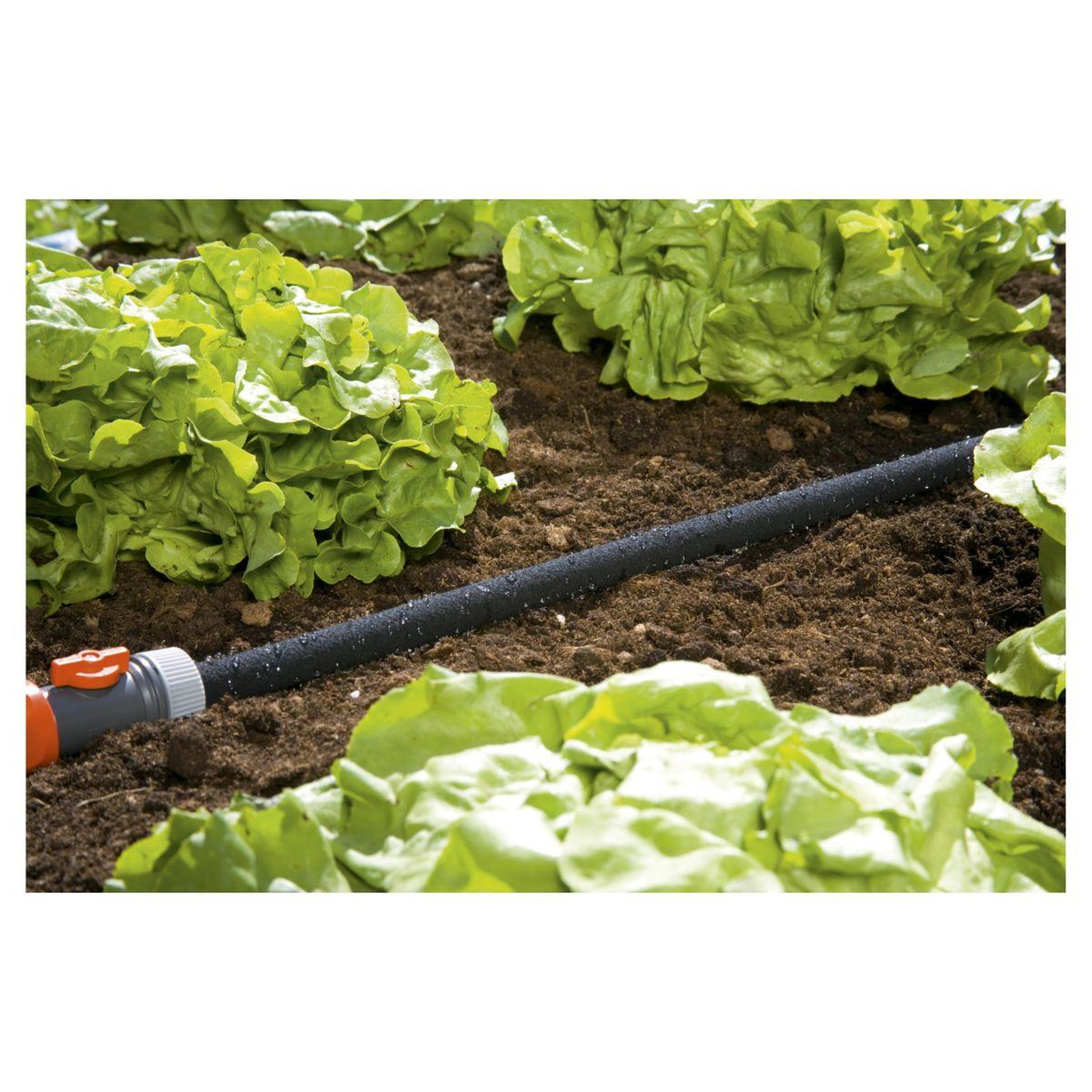 GARDENA Tuyau d'arrosage micro-poreux 20 m + régulateur + Raccord