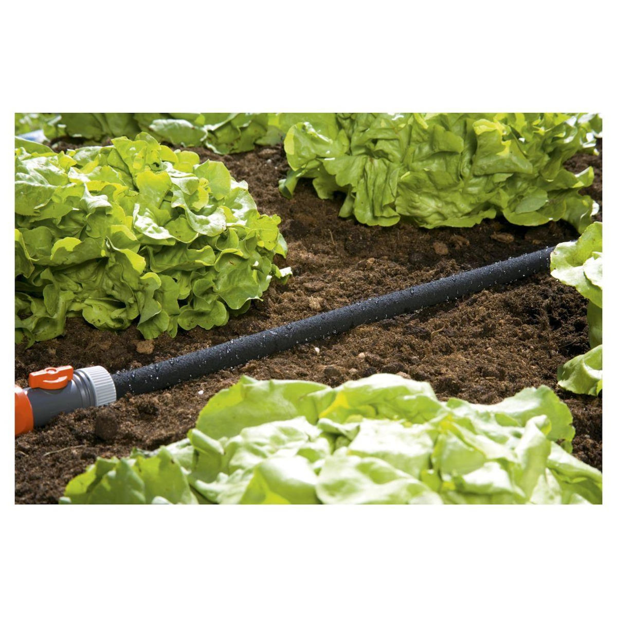 GARDENA Tuyau d'arrosage micro-poreux 20 m + régulateur + Raccord