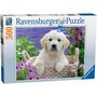 RAVENSBURGER Puzzle 500 pièces : Doux Golden Retriever