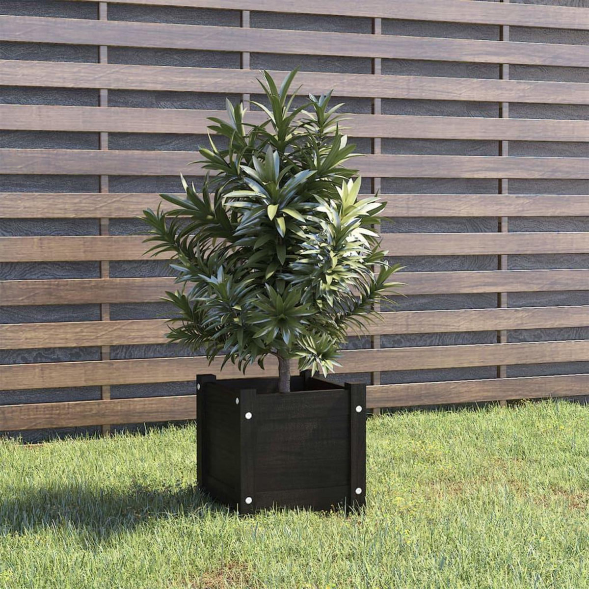 VIDAXL Jardiniere d'exterieur Noir 31x31x31 cm Bois de pin massif