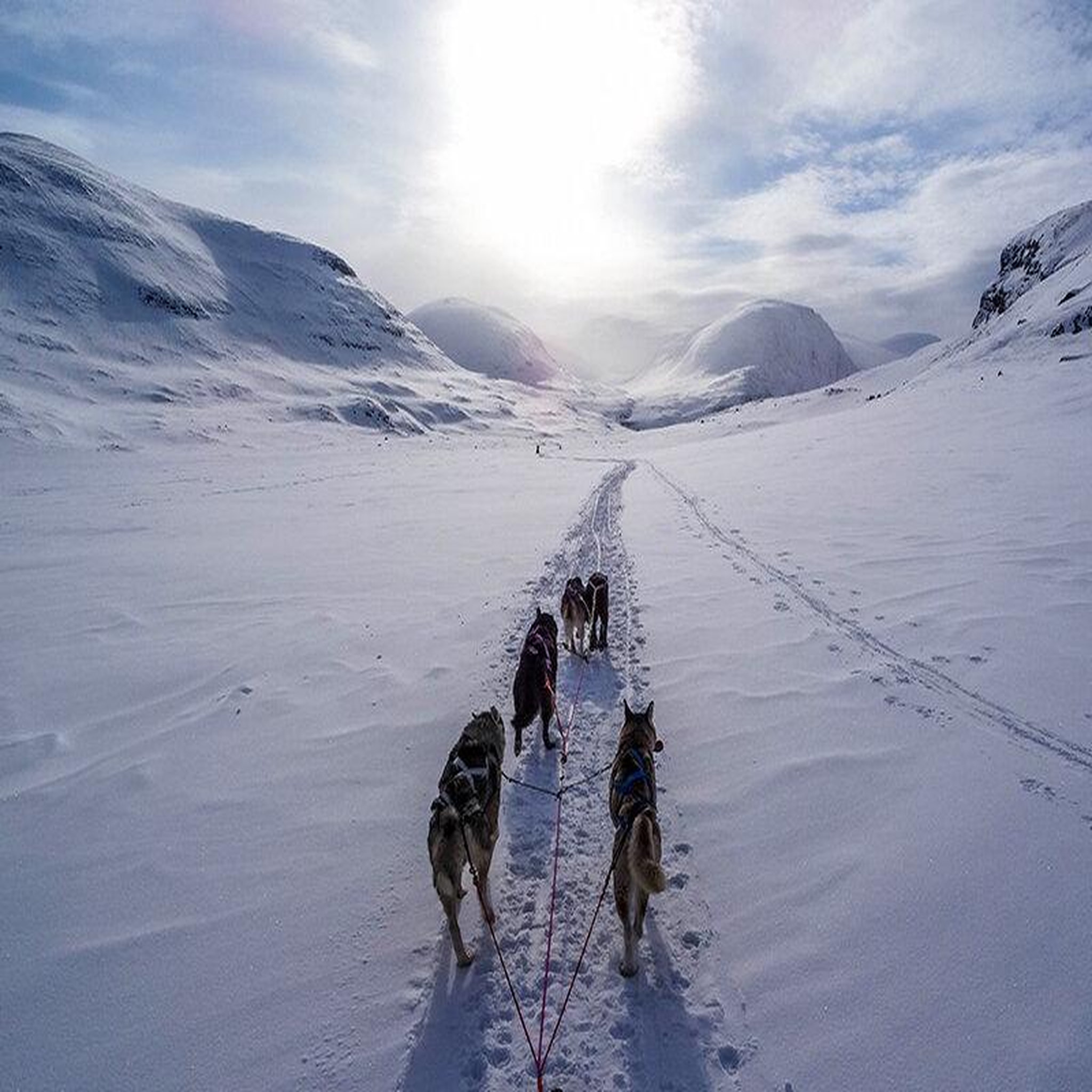 Voir la diapositive 4 : Smartbox Séjour en suède : 4 jours avec aurores boréales et balade en chiens de traîneau pour 2 - coffret cadeau séjour
