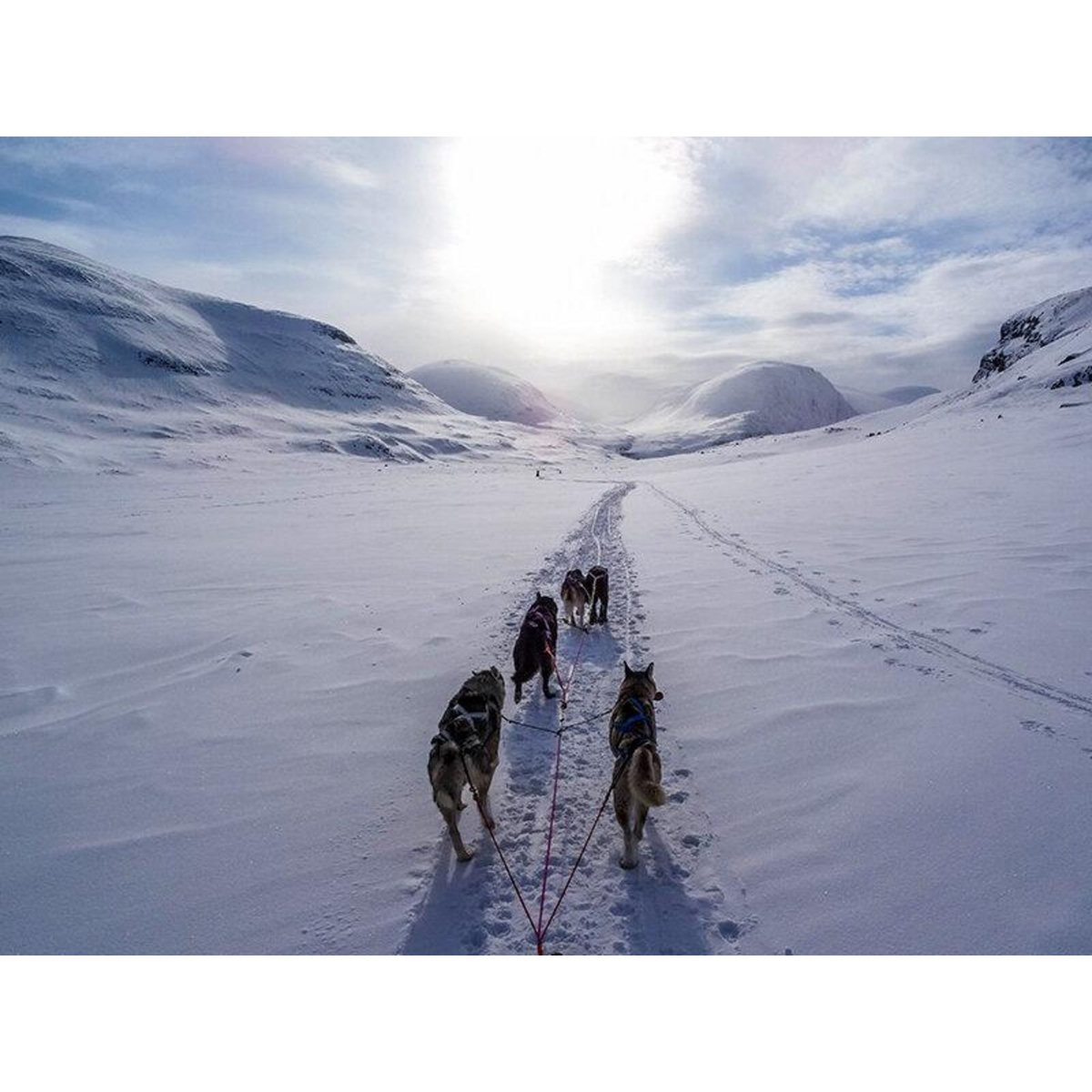 Smartbox Séjour en Suède : 4 jours avec aurores boréales et balade en chiens de traîneau pour 2 - Coffret Cadeau Séjour