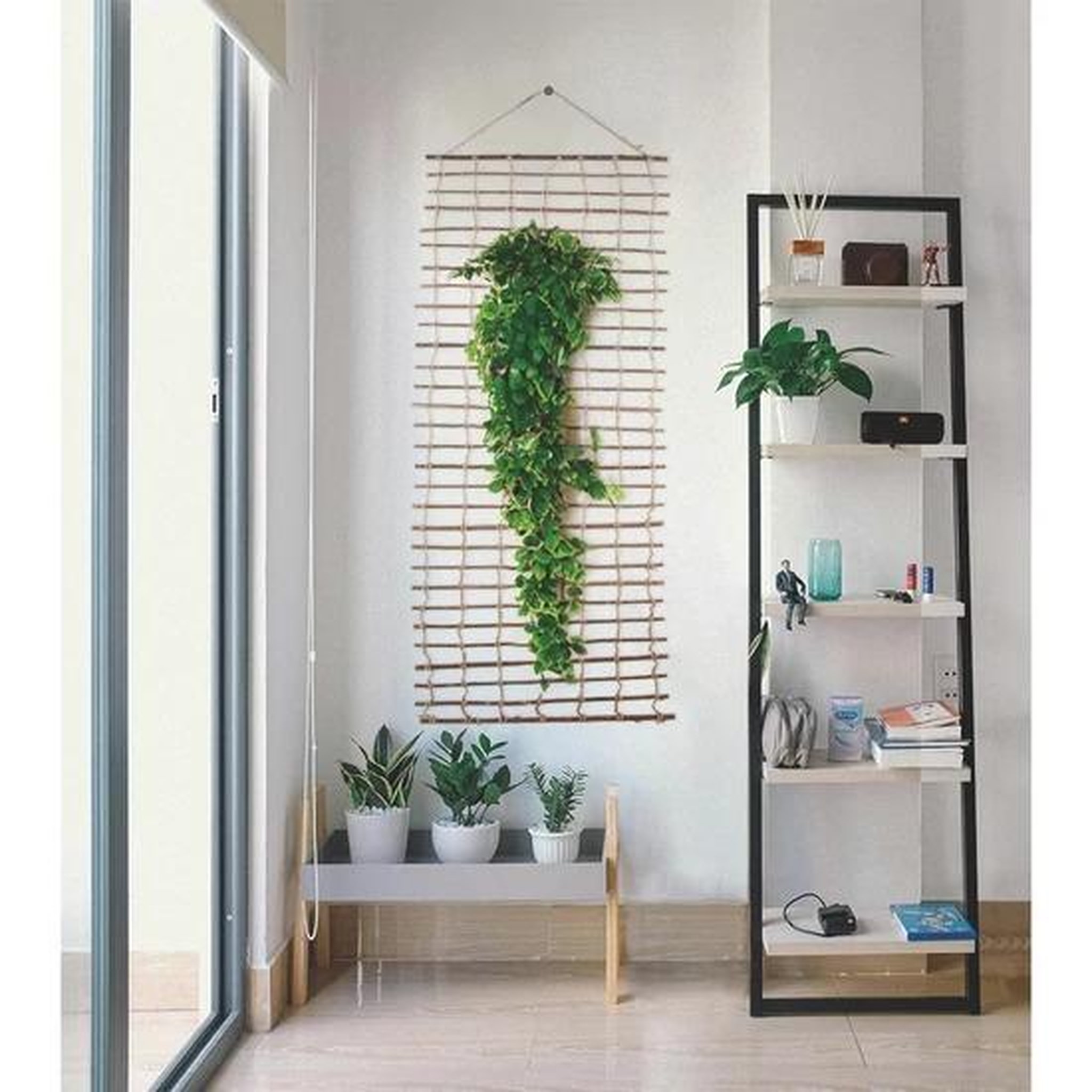 Nortene Treillis mural naturel marron 1 x 2 m - support pour plantes grimpantes