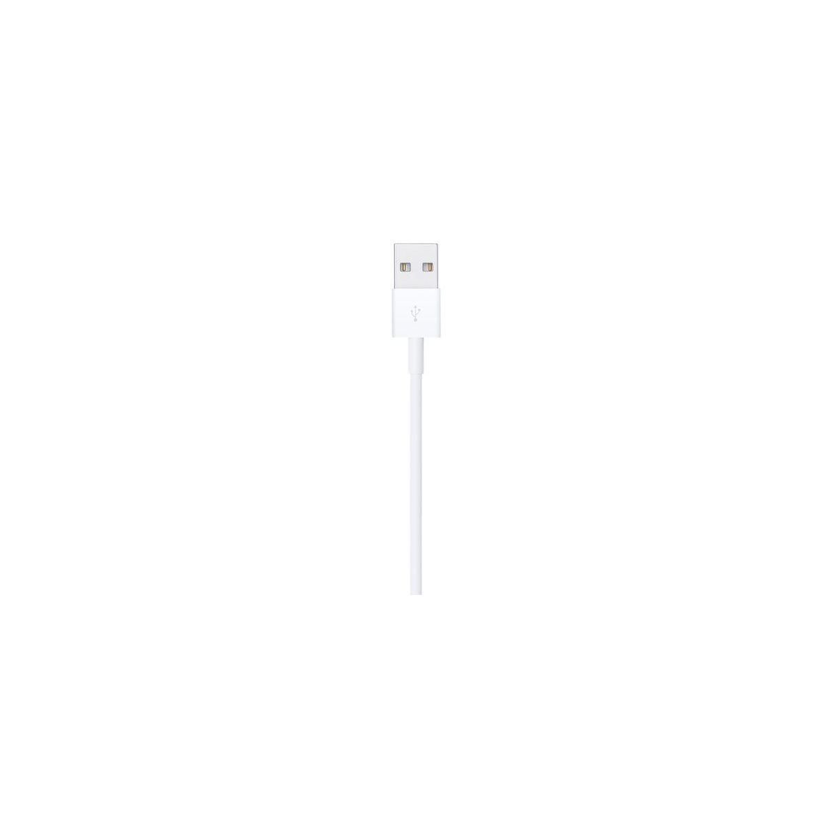 APPLE Câble Lightning Lightning vers USB 1m