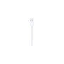Voir la diapositive 4 : APPLE Câble Lightning Lightning vers USB 1m