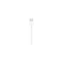 Voir la diapositive 4 : APPLE Câble Lightning Lightning vers USB 1m