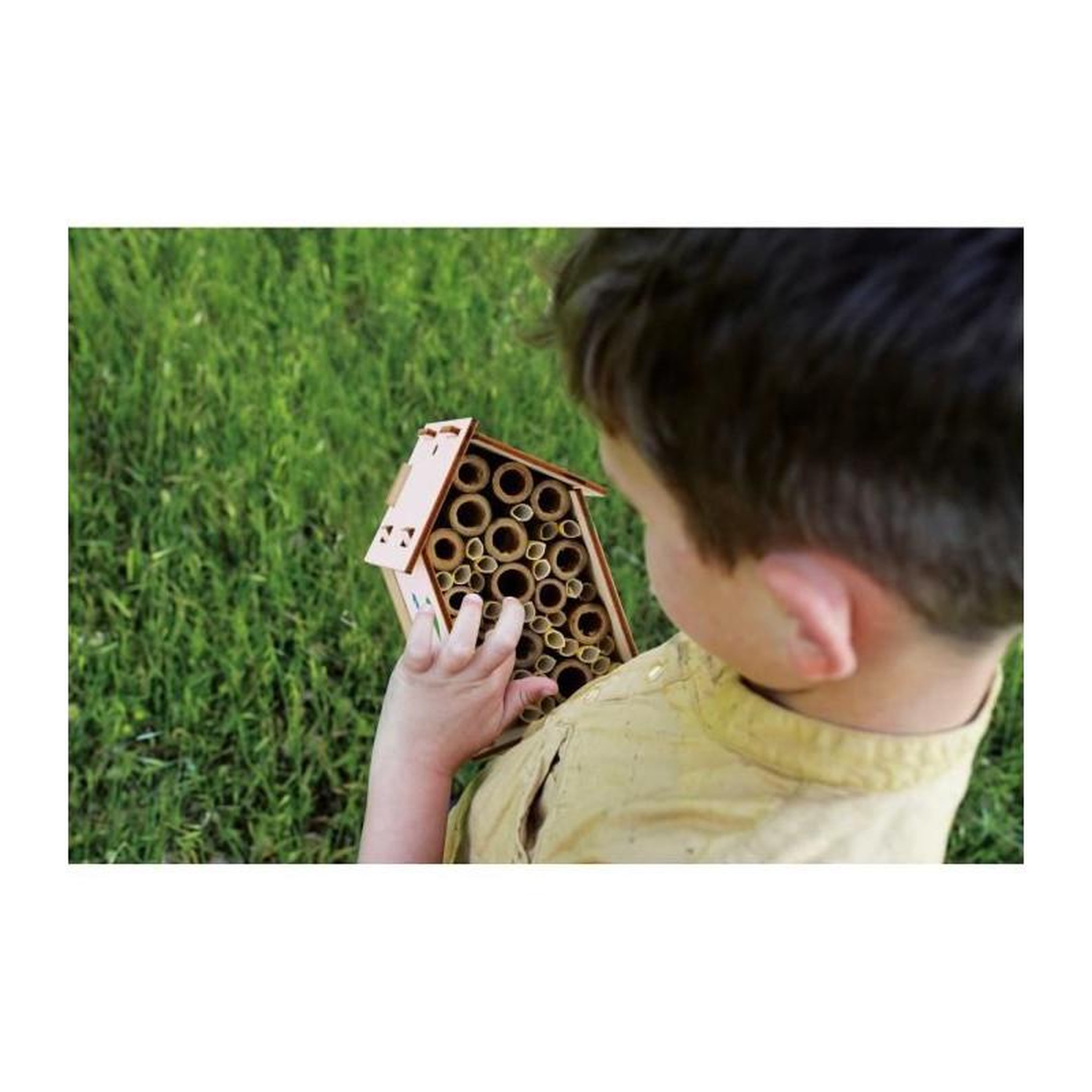 Voir la diapositive 3 : LISCIANI GIOCHI Laboratoire des abeilles - Kit Scientifique - I'M A GENIUS - Expériences variées