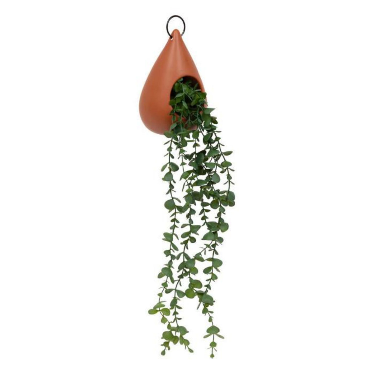 ATMOSPHERA Plante Artificielle Suspendue  Be Vintage  60cm Marron