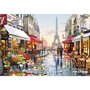 Castorland Puzzle 1500 pièces : Fleuriste à Paris