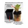  Collection de plantes vivaces pour jardins et pots - Les 7 pots / Ø 9cm - Willemse