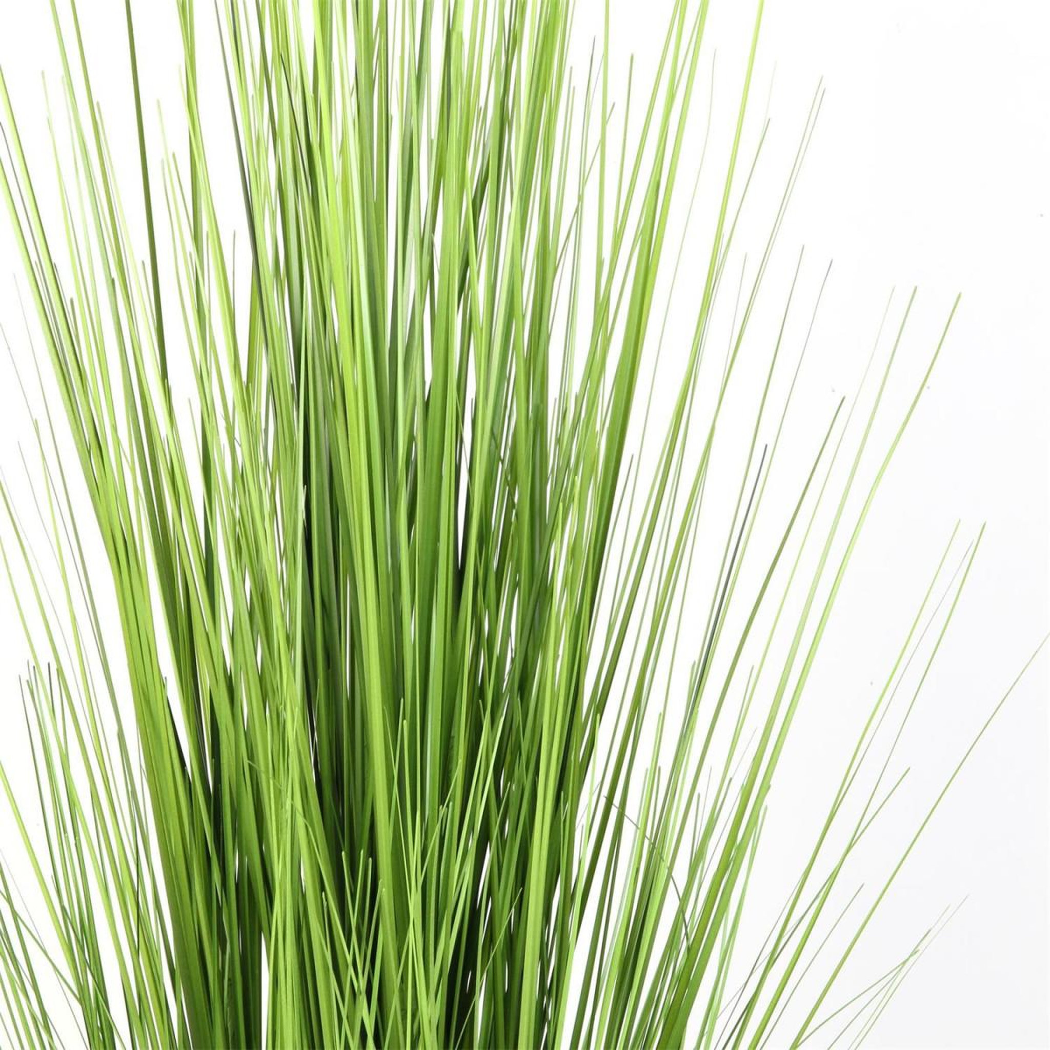 Voir la diapositive 2 : The Home Deco Factory Plante artificielle en pot  herbe grasse  85cm vert