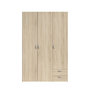 Voir la diapositive 3 : Armoire 3 portes 2 tiroirs L120cm DAISY