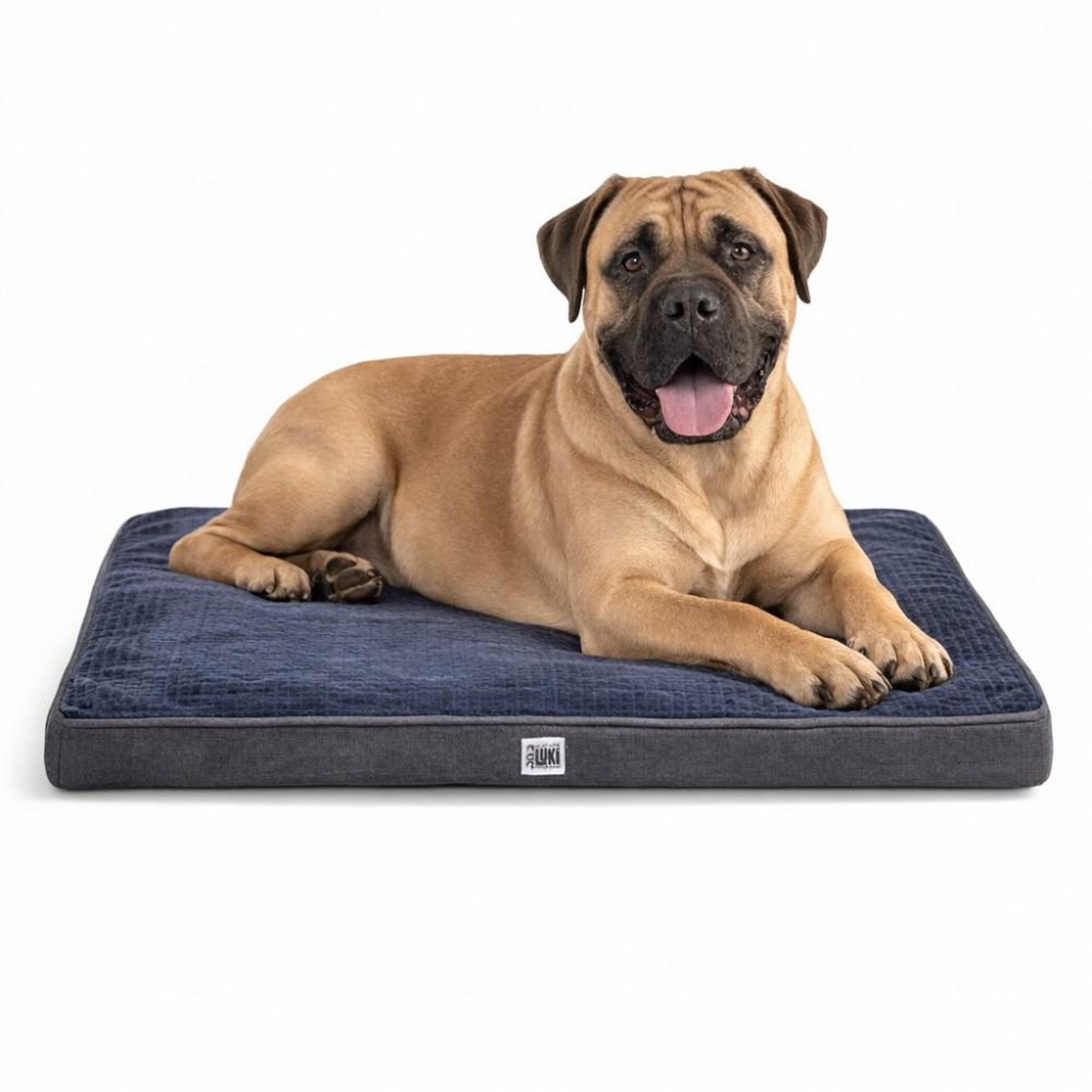 Voir la diapositive 6 : MON AMI LUKI Matelas soft-touch - bi-matière doux - antidérapant - grand/très grand chien