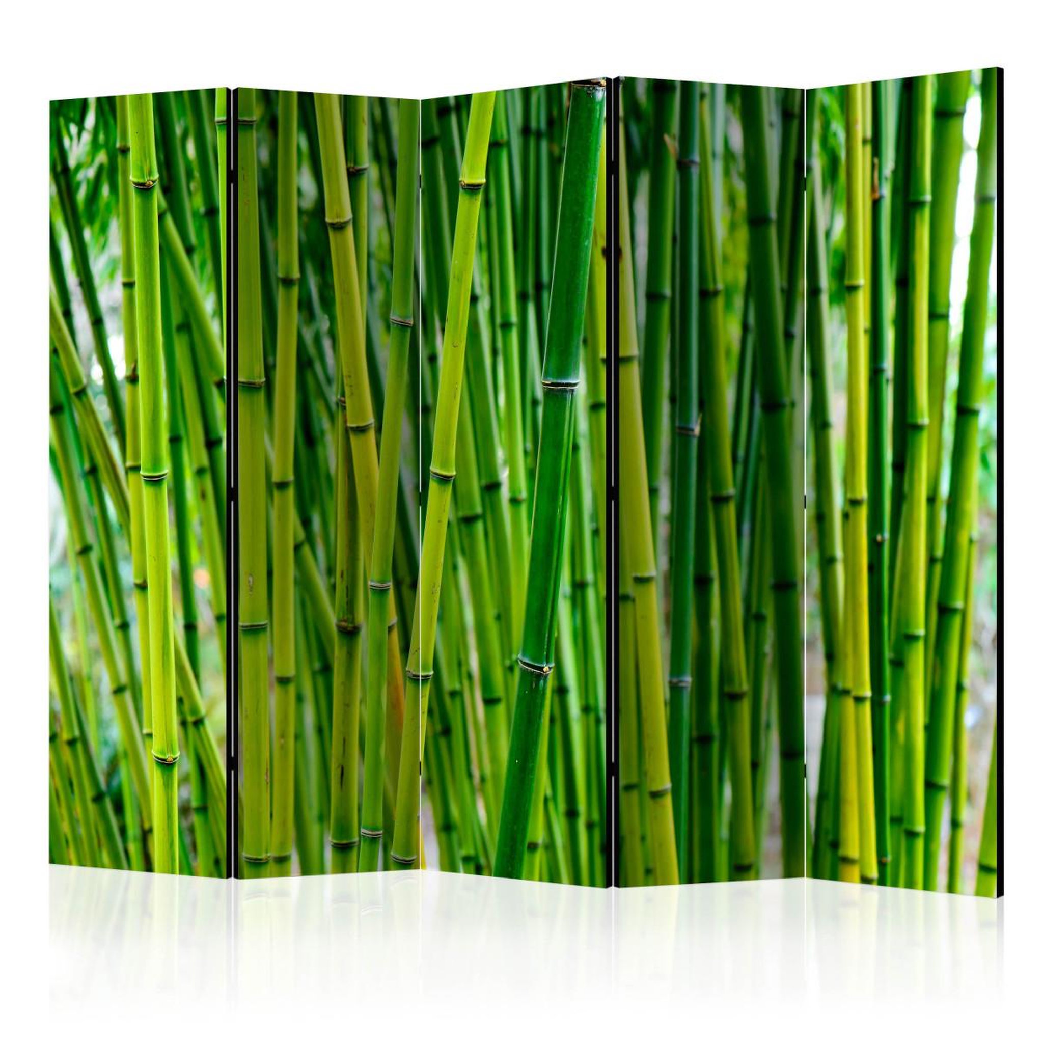 Paris Prix Paravent 5 volets  bamboo forest  172x225cm