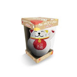 MON CHAT DE LA FORTUNE ANTISTRESS. AVEC 1 MINI-PELUCHE, 1 CARNET LUDIQUE, Larousse