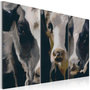 Voir la diapositive 1 : Paris Prix Tableau Imprimé  Piebald Cow