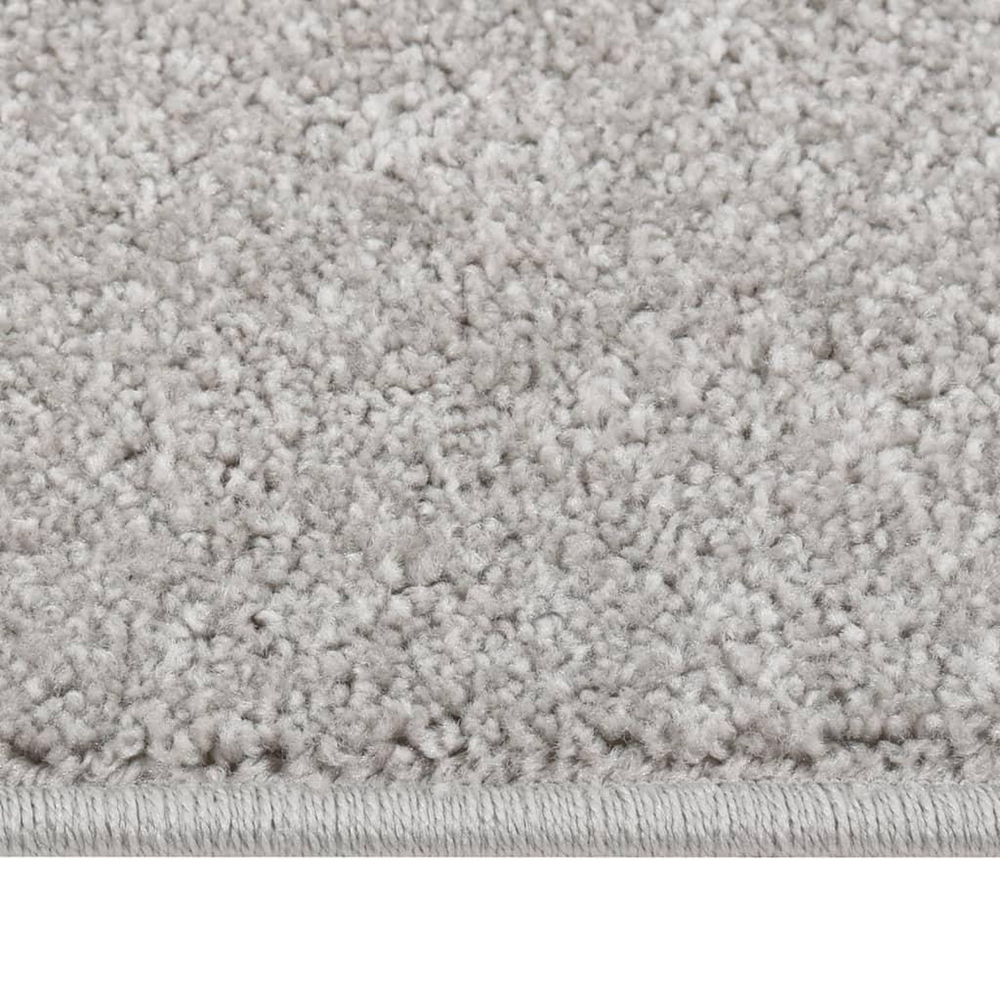 Voir la diapositive 4 : VIDAXL Tapis a poils courts 160x230 cm Gris clair