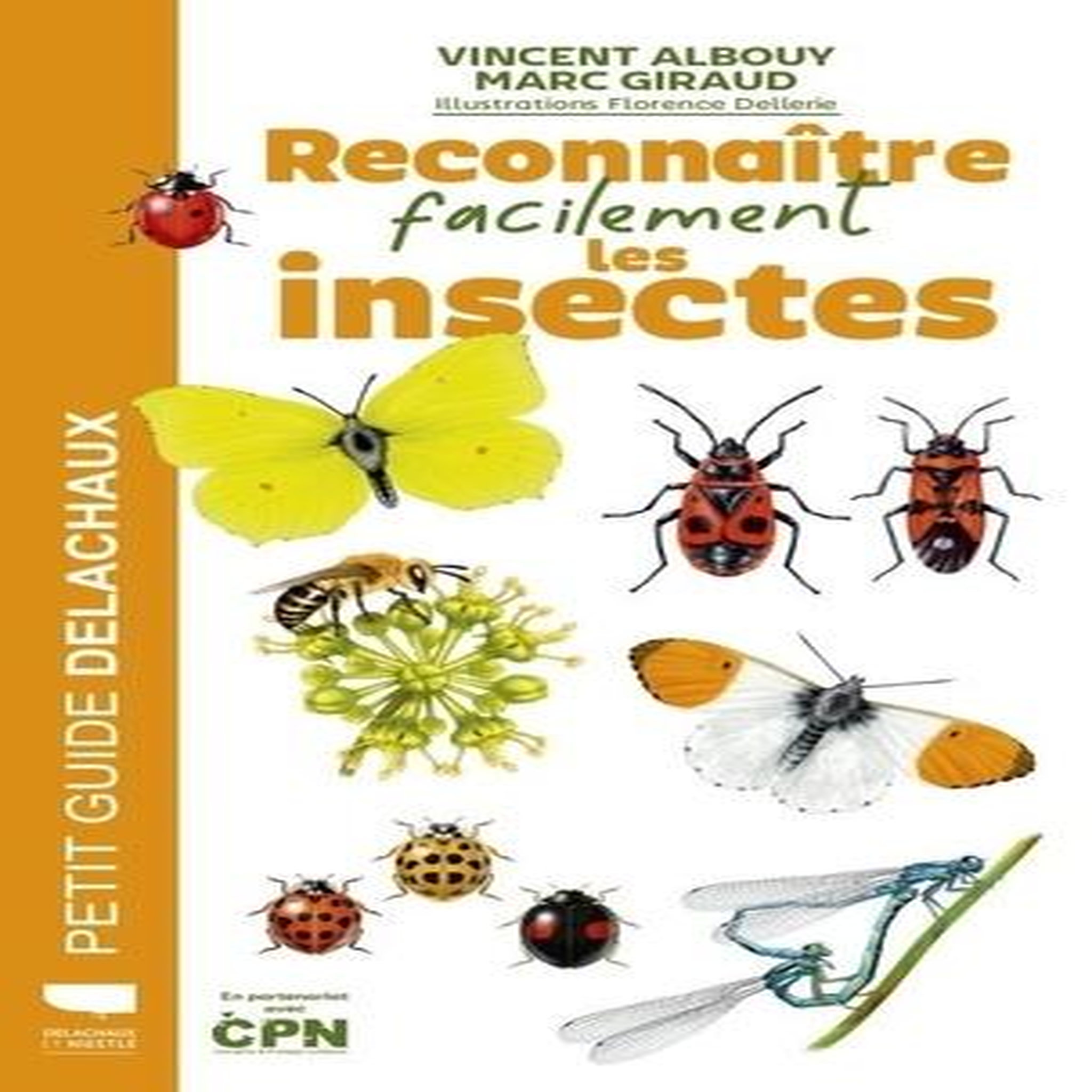 RECONNAITRE FACILEMENT LES INSECTES, Albouy Vincent