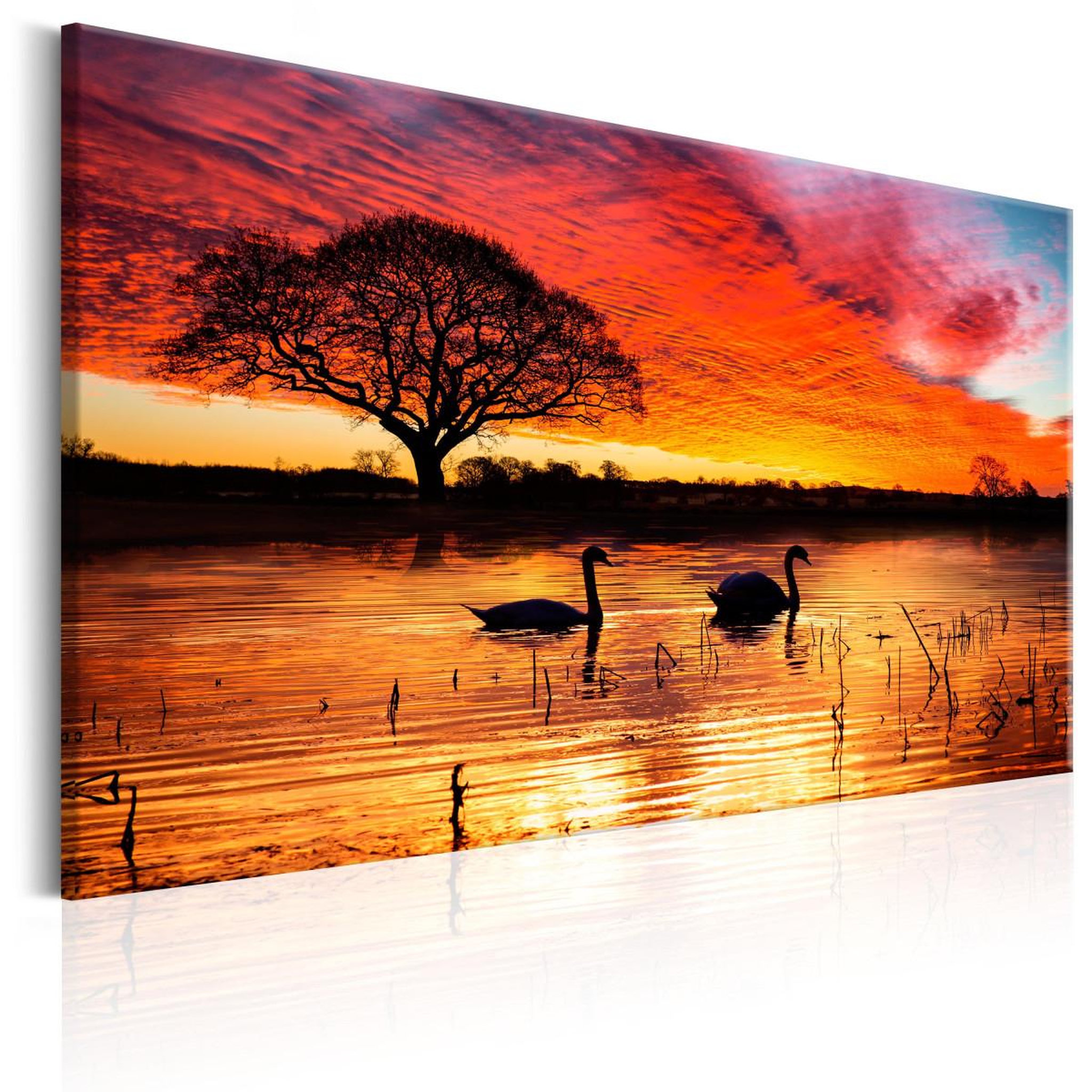 Voir la diapositive 1 : Paris Prix Tableau imprimé  swan lake