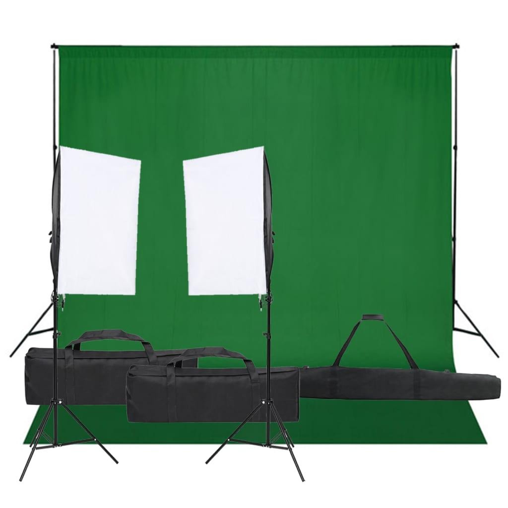 VIDAXL Kit de studio photo avec eclairage et toile de fond