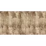 HABITABLE Adhésif décoratif Bois vieilli - 200 x 45 cm - Marron