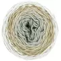 RICO DESIGN Pelote fil coton patine - ricorumi spin spin 50 g