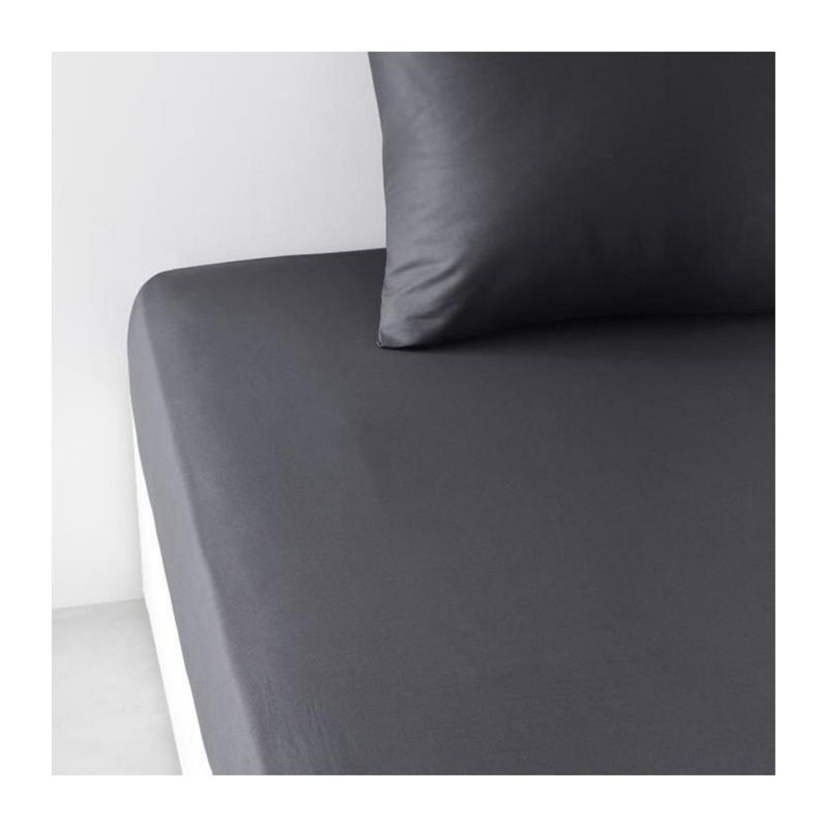 Today Drap housse TODAY Essential - 180 x 200+30 cm - 2 personnes - 100% Coton uni - Fusain